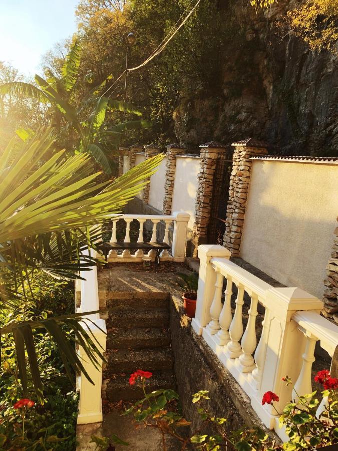 Guest House Chalet Agave Гагра Екстер'єр фото