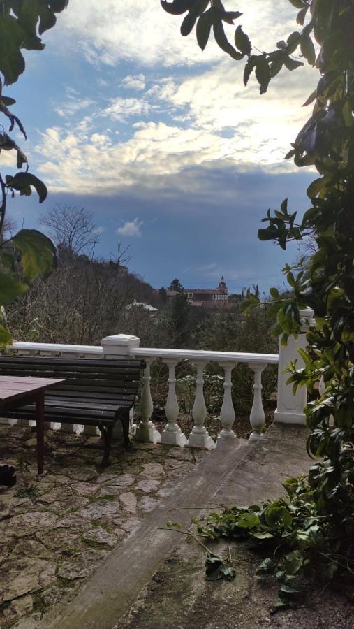 Guest House Chalet Agave Гагра Екстер'єр фото